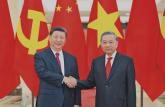 习近平同越共中央总书记苏林举行会谈
